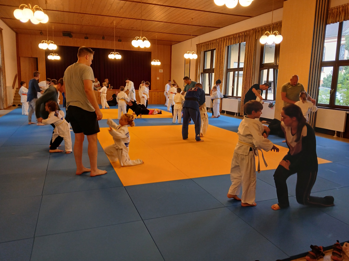 Bild Eltern-Kind Training Judo